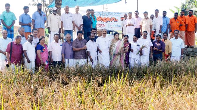 ഇലന്തൂര്‍ ബ്ലോക്ക് പഞ്ചായത്ത് കൊയ്ത്ത് ഉത്സവം നടത്തി