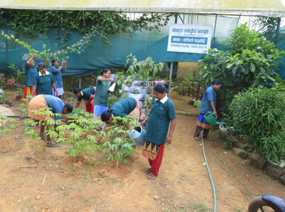 സ്ത്രീ ശാക്തീകരണത്തിന് ഒരു കാഞ്ഞങ്ങാടന്‍ മാതൃക