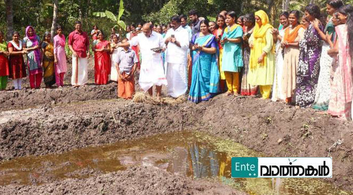 രണ്ട് ദിവസം കൊണ്ട് ആറേക്കര്‍ പാടശേഖരം ക്യഷിയോഗ്യമാക്കി പെണ്‍കരുത്ത്