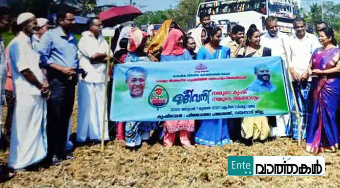 പടിഞ്ഞാറത്തറ പഞ്ചായത്തില്‍ ജീവനി പദ്ധതി ആരംഭിച്ചു