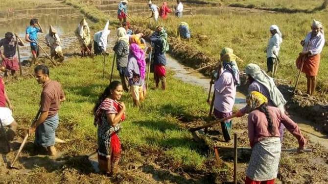 കിസ്സാന്‍ ക്രെഡിറ്റ് കാര്‍ഡ് സാച്ചുറേഷന്‍ പദ്ധതി നടപ്പാക്കും. ജില്ലാ കളക്ടര്‍