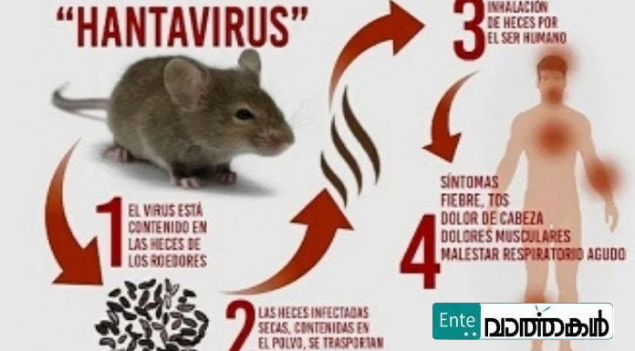 ഹാന്റവൈറസ് ലക്ഷണങ്ങള്‍, മരണ സാധ്യത; അറിയേണ്ടതെന്തെല്ലാം