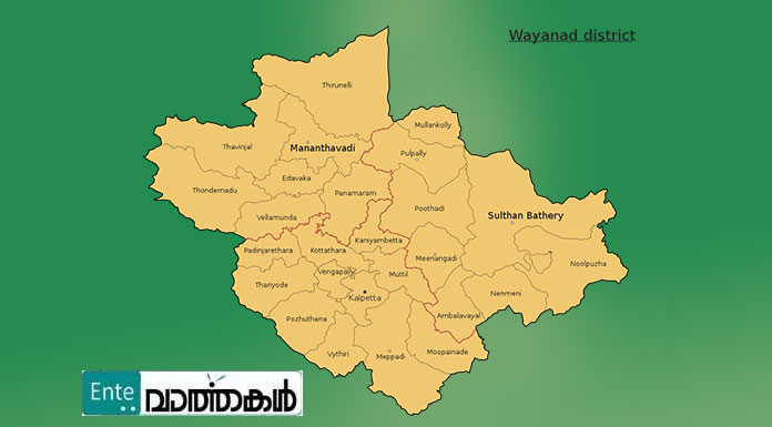 വയനാട്ടിൽ 13 പേര്‍ക്ക് കൂടി കൊവിഡ്; ഒരാള്‍ക്ക് രോഗമുക്തി