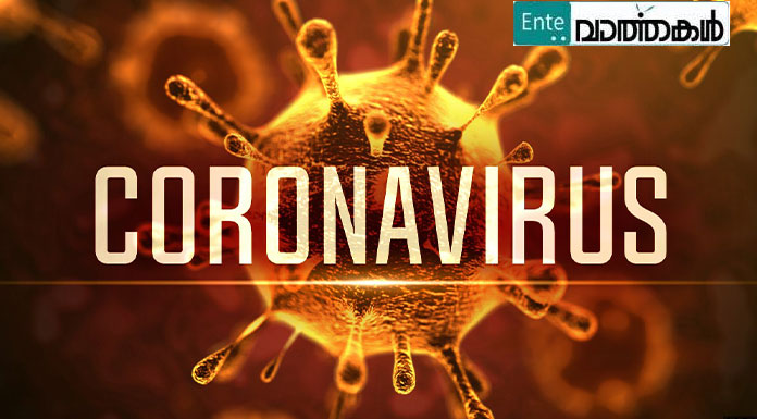 കൊറോണ; വിദേശ രാജ്യങ്ങളിൽ നിന്നും എത്തുന്നവർ ജാഗ്രത പാലിക്കണമെന്ന് ജില്ലാ മെഡിക്കൽ ഓഫീസർ