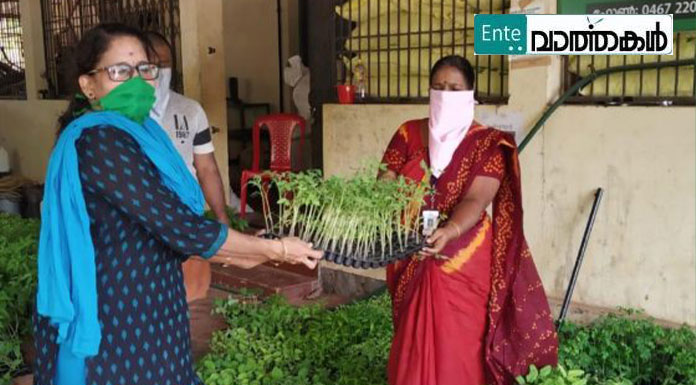 കോവിഡ് 19 കാര്‍ഷിക മേഖലയെ തകര്‍ക്കില്ല; വിശ്രമമില്ലാതെ കൃഷി വകുപ്പ്