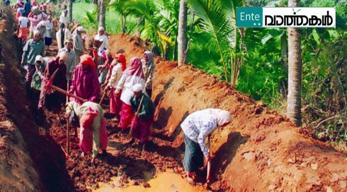 തൊഴിലുറപ്പിന് അനുമതി; സാമൂഹിക അകലം പാലിക്കണം