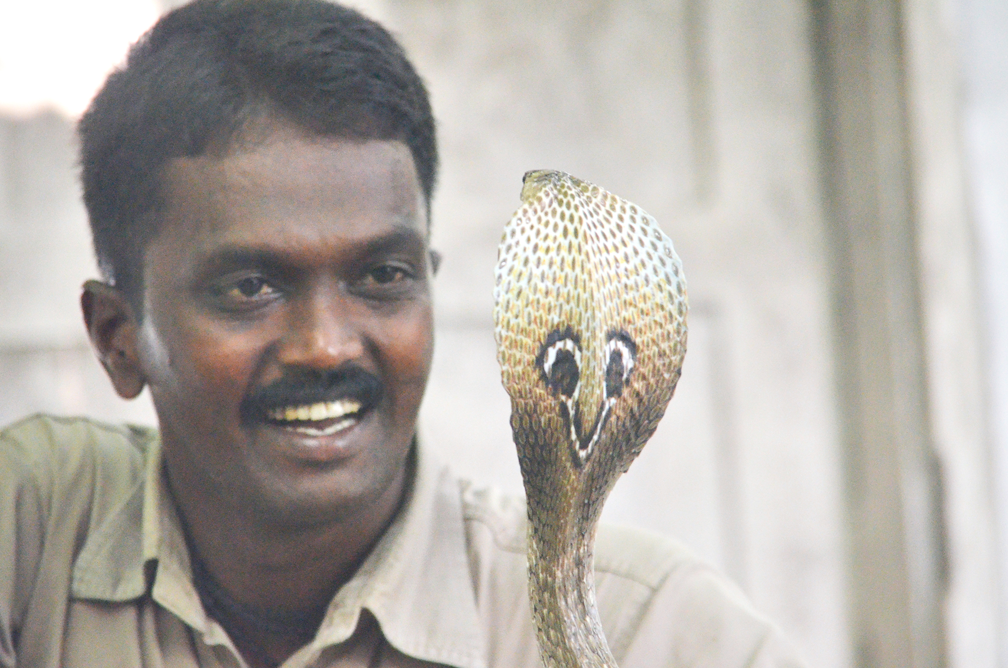 ഉത്ര വധത്തിന് പിന്നാലെ നിയമം മാറുന്നു, പാമ്പുപിടിക്കാന്‍ പ്രോട്ടോക്കോള്‍, രജിസ്‌ട്രേഷന്‍ വരുന്നു!!