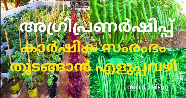 അഗ്രിപ്രണര്‍ഷിപ്പ് : കാര്‍ഷിക സംരംഭം തുടങ്ങാന്‍ എളുപ്പവഴി