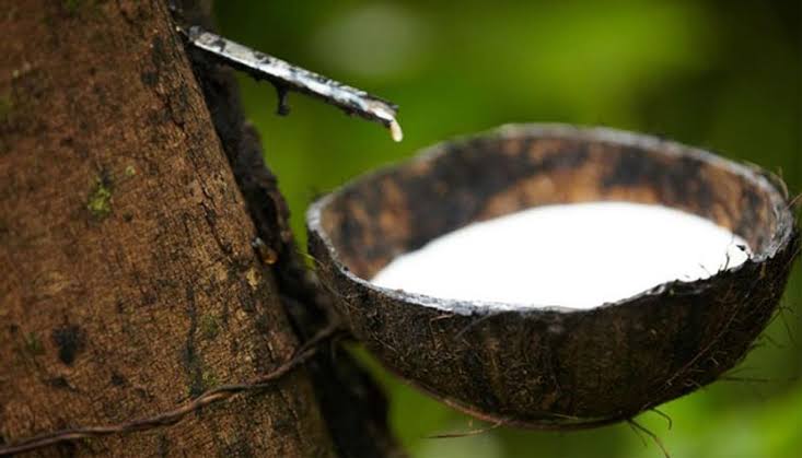 കര്‍ഷകര്‍ക്ക് പ്രതീക്ഷയായി റബര്‍ വിലയിലെ മുന്നേറ്റം