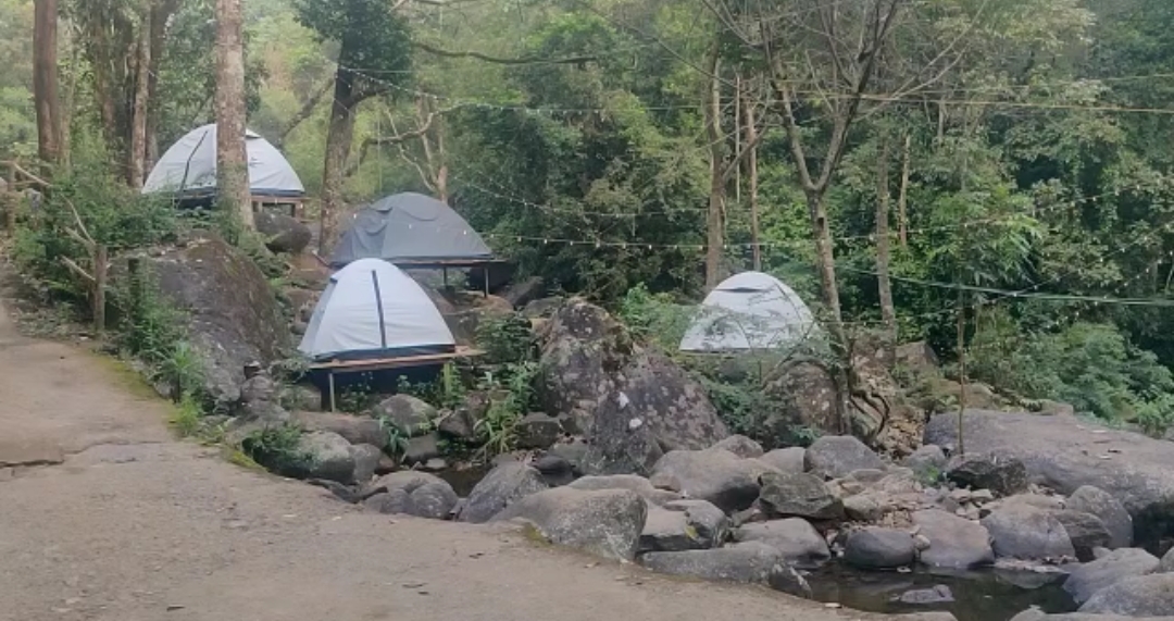 വിനോദ സഞ്ചാരിയെ കാട്ടാന ആക്രമിച്ചു കൊന്ന സംഭവം; മേപ്പാടി എളമ്പിലേരിയിലെ റിസോര്‍ട്ട് പൂട്ടി