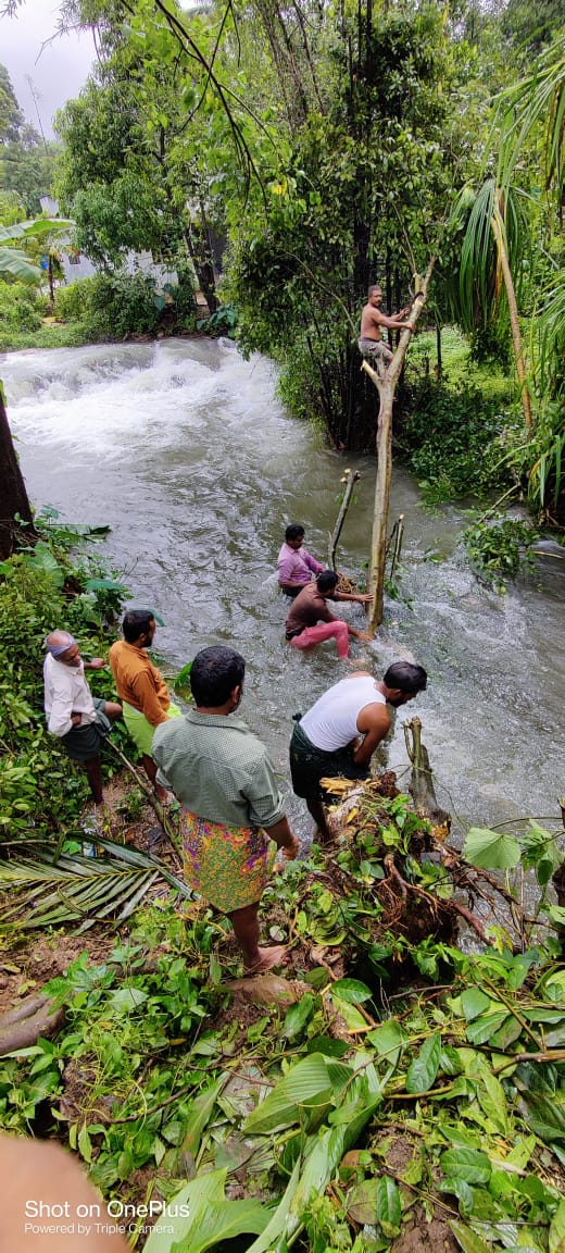 മഴക്കെടുതി;വീടിന് ഭീഷണിയായ മരം മുറിച്ചു മാറ്റി