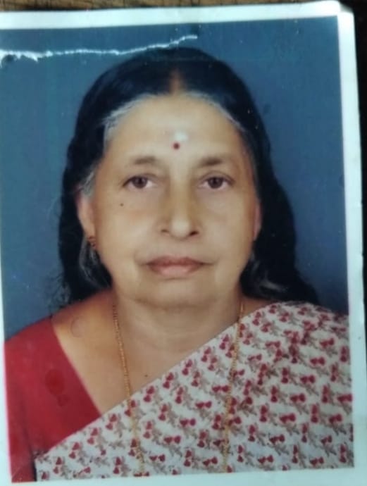മീനിന് തീറ്റ കൊടുക്കാൻ പോയ വീട്ടമ്മ കുളത്തിൽ വീണ് മരിച്ചു