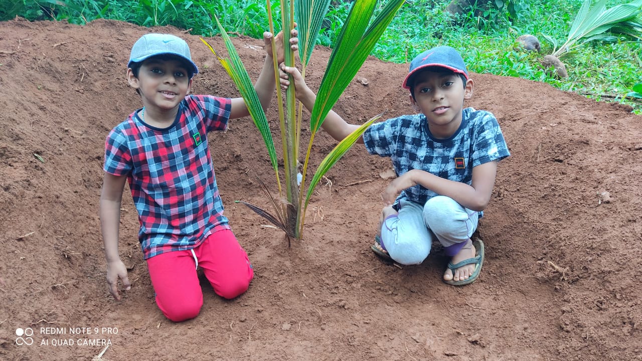 കർഷക ദിനത്തിൽ കുരുമുളക് നഴ്സറിയുമായി സഹോദരങ്ങൾ: അഭിനന്ദനവുമായി കൃഷി മന്ത്രി