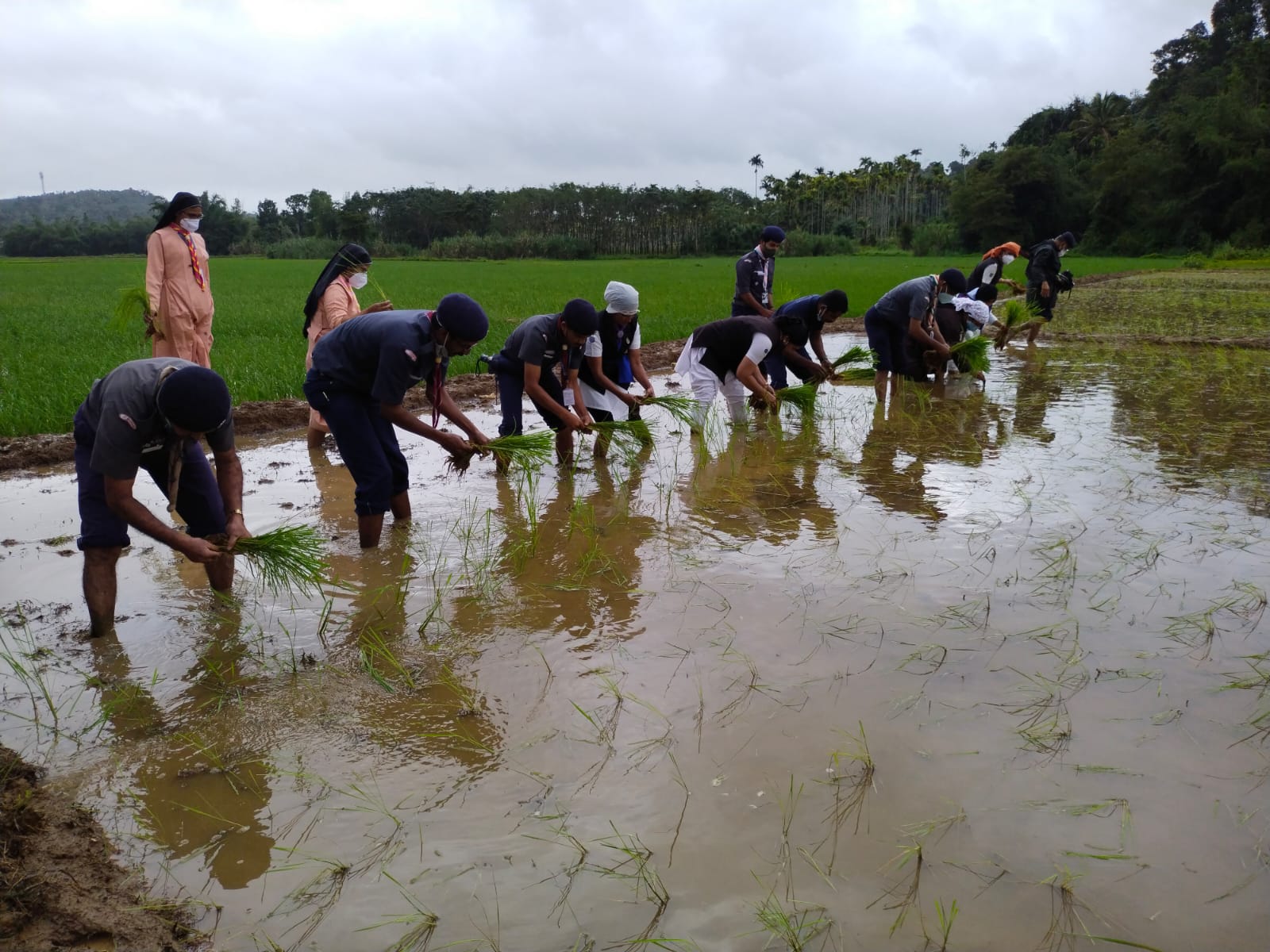 എന്റെ വീട്ടിലും കൃഷിത്തോട്ടം; സംസ്ഥാന തല പദ്ധതി ഉദ്ഘടനം ചെയ്തു.