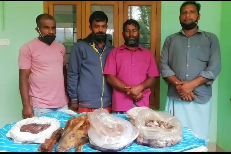 കേഴമാനിന്റെ ഇറച്ചി ശേഖരിച്ച കേസിൽ നാല് പേർ പിടിയിൽ