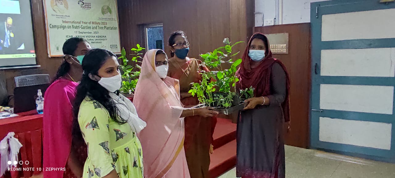 പോഷക സമൃദ്ധമായ ചെറുധാന്യങ്ങൾ കൃഷി ചെയ്യാം