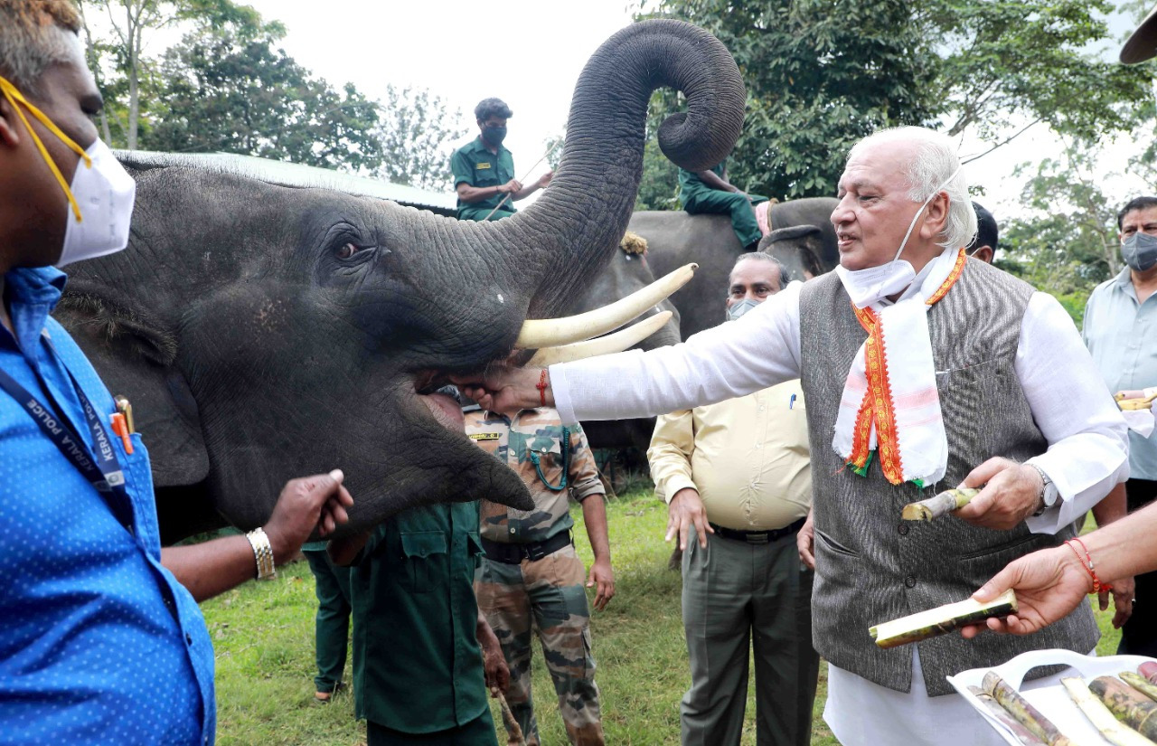 മുത്തങ്ങയില്‍ ഗവര്‍ണര്‍ ആനയൂട്ട് നടത്തി