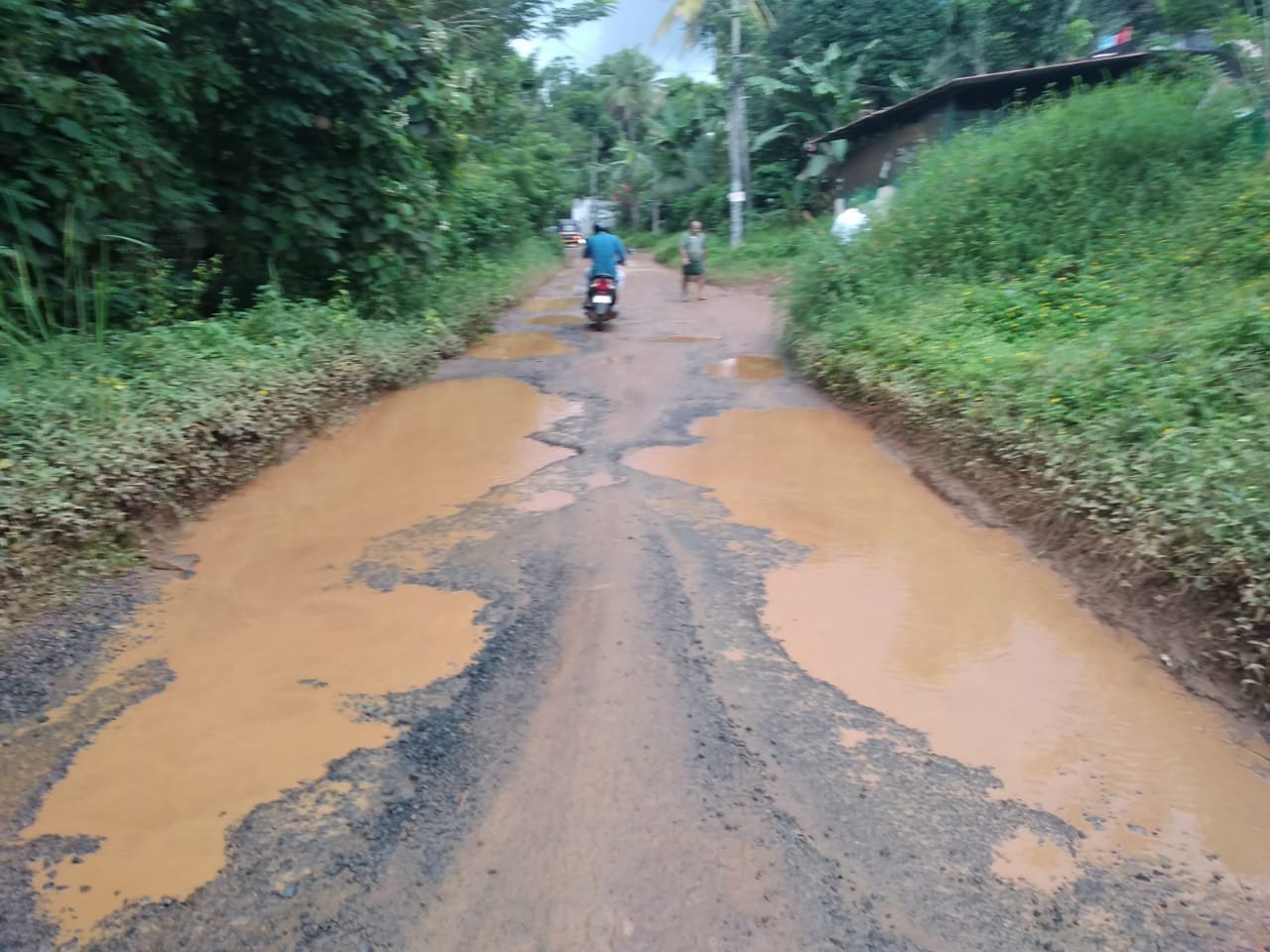 തരുവണ – പാലിയാണ – കക്കടവ്റോഡ് നവീകരണത്തിന് കേന്ദ്ര ഫണ്ട് അനുവദിക്കണം