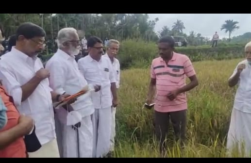 ചീക്കല്ലൂർ കൃഷിനാശം സർക്കാറിന്റെ കുറ്റകരമായ അനാസ്ഥ – കുമ്മനം രാജശേഖരൻ