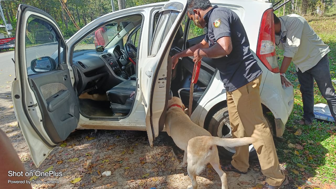 ക്രിസ്തുമസ് പുതുവത്സരം – എക്സൈസ് പരിശോധനയിൽ ബ്രൂണോയും  സുൽത്താനും