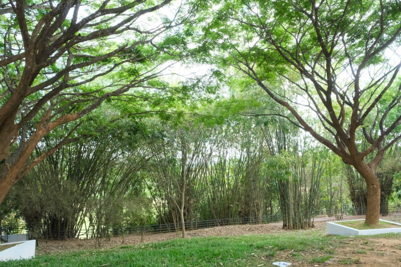 ഹരിതപ്രഭയില്‍ മാനികാവിലെ വിദ്യാലയവളപ്പ്