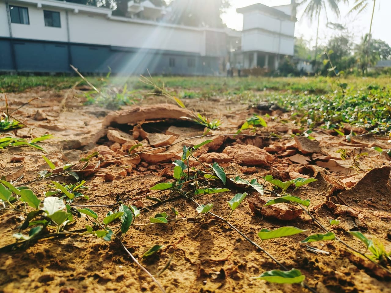അധികൃതരുടെ അവഗണനയിൽ കരണി മിനി സ്റ്റേഡിയം