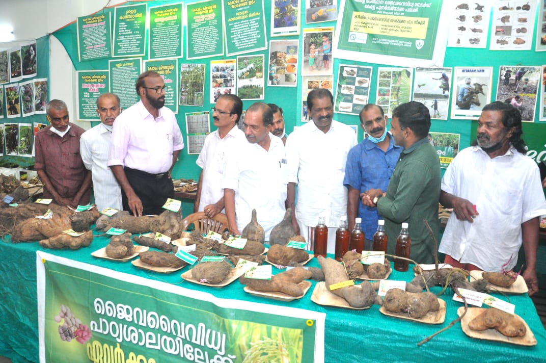 തനത് കാര്‍ഷിക ഇനങ്ങളെ പരിചയപ്പെടുത്തി വിത്തുത്സവം