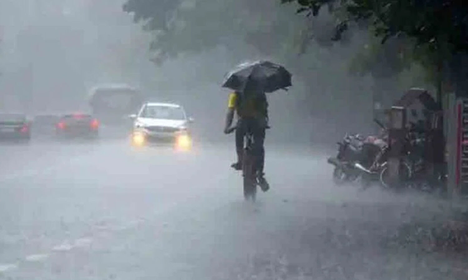 മഴ മുന്നറിയിപ്പ്; വയനാട്ടിൽ ജാഗ്രതാ നിര്‍ദ്ദേശം        