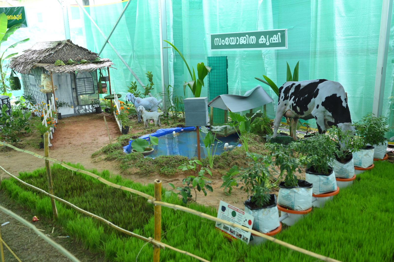 വരൂ സംയോജിത കൃഷി പഠിക്കാം; കൃഷി സമൃദ്ധിയില്‍ എന്റെ കേരളം 