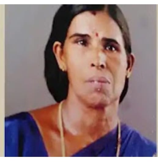 ഉണങ്ങിയ തെങ്ങ് ദേഹത്ത് വീണ് തൊഴിലുറപ്പ് തൊഴിലാളി മരിച്ചു