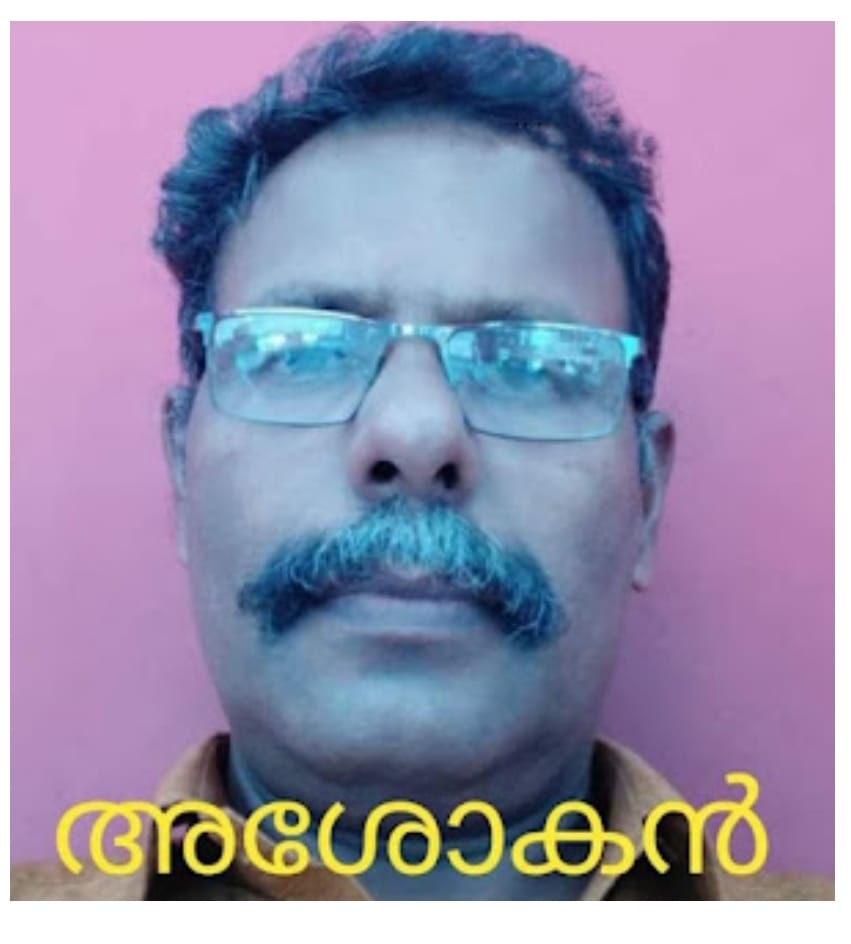 കാൽനടയാത്രക്കാരൻ പിക്കപ്പ് വാനിടിച്ച് മരിച്ചു