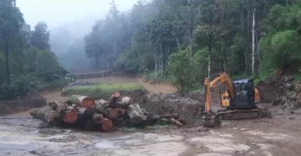 തൊള്ളായിരംകണ്ടിയില്‍ മരങ്ങള്‍ മുറിച്ചിട്ട നിലയില്‍