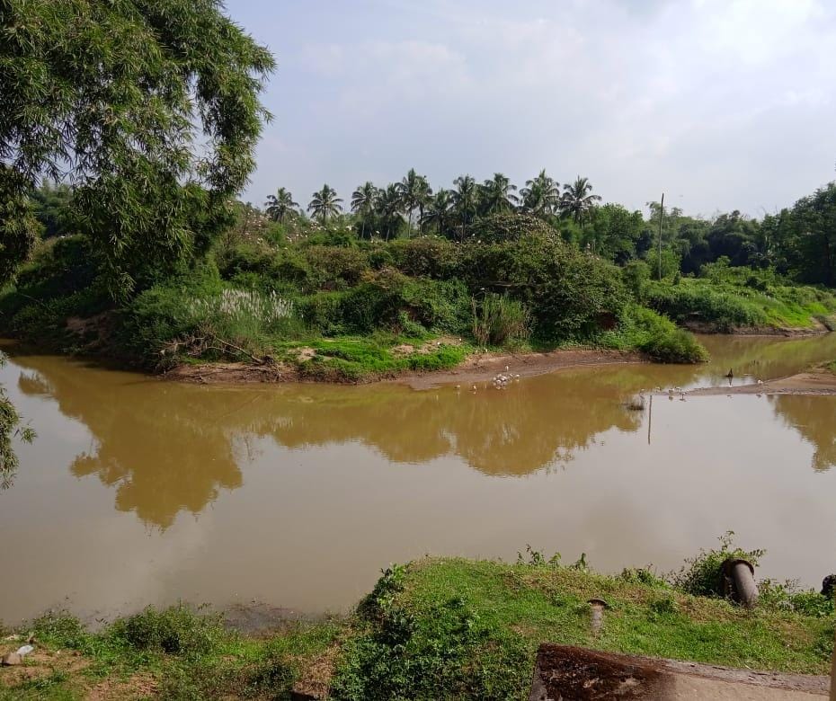 സംരക്ഷണ പാതയില്‍ കൊറ്റില്ലം; നിരീക്ഷണ ഗോപുരം ഒരുങ്ങുന്നു