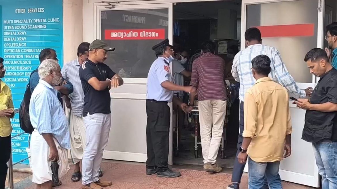 കാട്ടുപോത്തിന്റെ ആക്രമണത്തിൽ ഒരാൾക്ക് പരിക്ക്