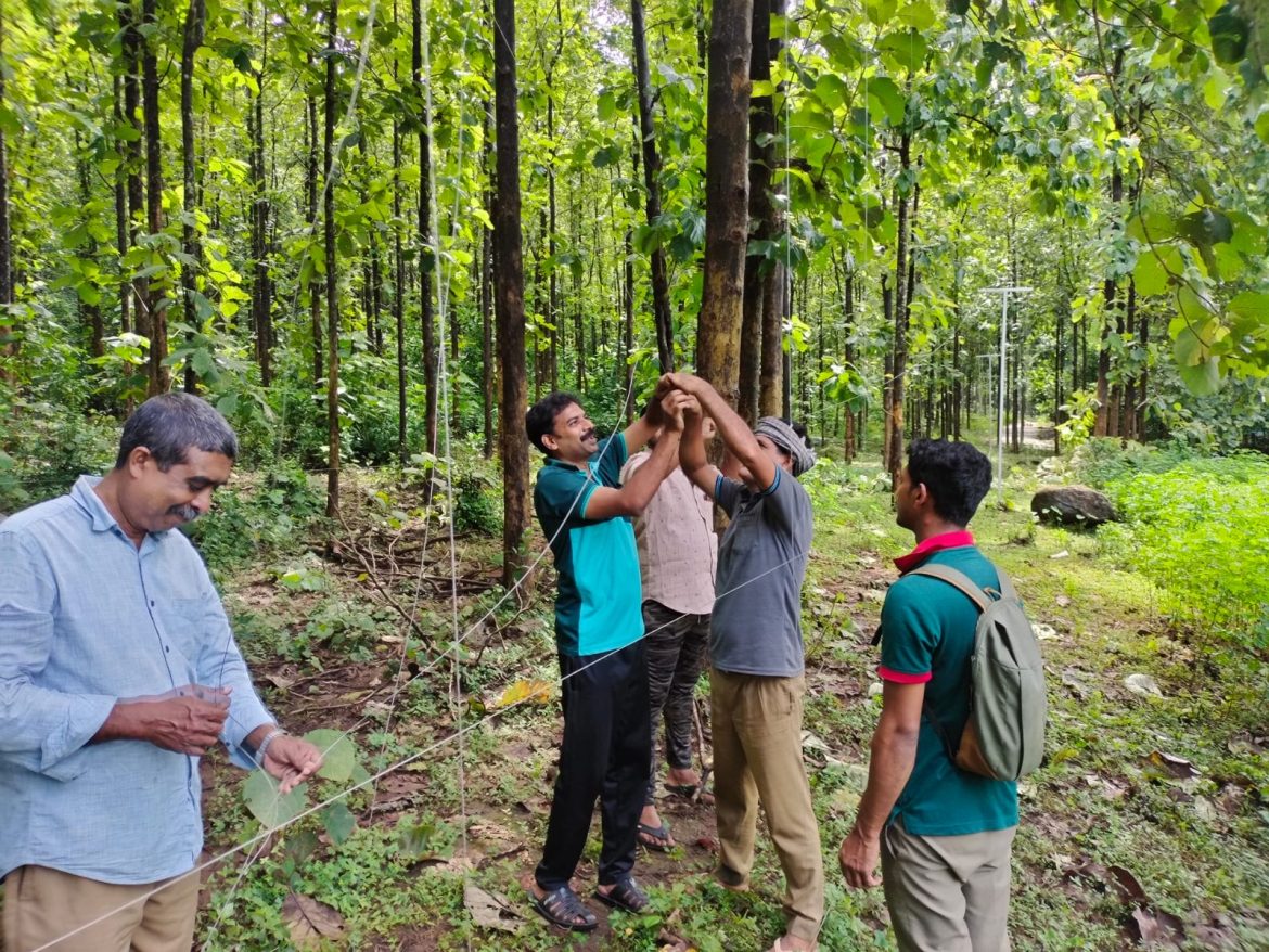 സൗരവേലിയുടെ തകരാറുകൾ പരിഹരിച്ച് വനം വകുപ്പിന്റെ സോളാർ ഫെൻസ് സർവീസ് സെന്റർ 50 ലക്ഷം രൂപ വേണ്ടിയിരുന്ന അറ്റകുറ്റപ്പണിക്ക് ചെലവായത് 1.3 ലക്ഷം മാത്രം