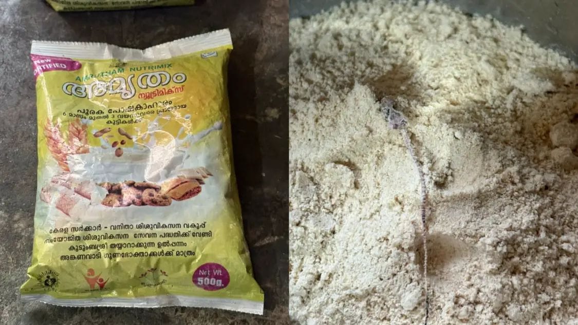 വെള്ളറടയില്‍ രണ്ട് വയസുകാരിക്ക് ചര്‍ദ്ദിയും വയറിളക്കവും;അംഗൻവാടിയില്‍ നിന്ന് നല്‍കിയ അമൃതം പൊടി പാക്കറ്റില്‍ പല്ലിയുടെ ജഡം കണ്ടെത്തി
