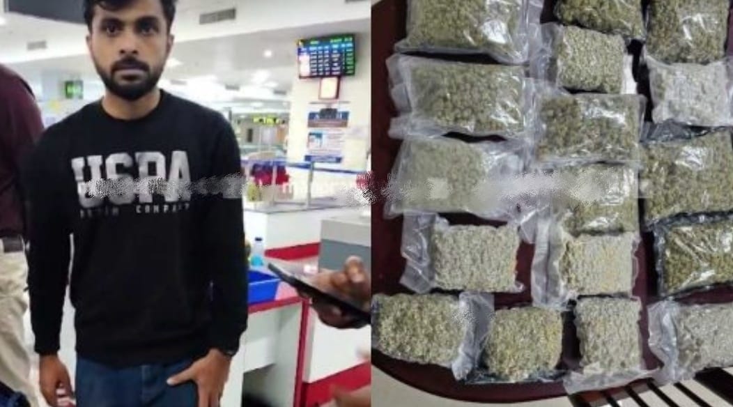 കരിപ്പൂരിൽ വൻ ലഹരി വേട്ട;നാല് കോടിയുടെ ഹൈബ്രിഡ് കഞ്ചാവ് പിടികൂടി