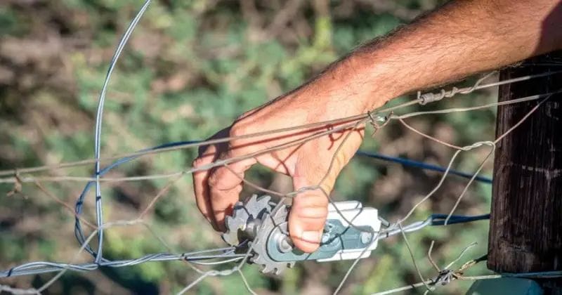 സോളാർ ഫെൻസിംഗ് അറ്റകുറ്റപ്പണി വനംവകുപ്പ് ഏറ്റെടുക്കുന്നു;1500 ജീവനക്കാർക്ക് പരിശീലനം