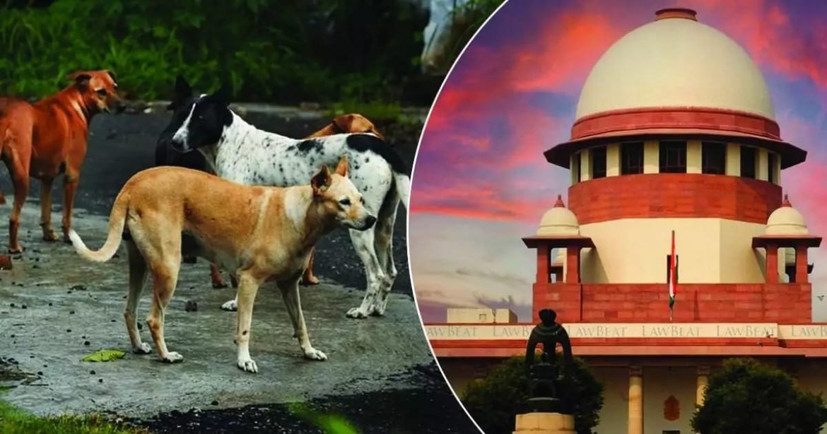 പൊതുവിടങ്ങളിൽ നിന്ന് തെരുവുനായ്ക്കളെ മാറ്റണം:സുപ്രധാന ഉത്തരവുമായി സുപ്രീം കോടതി