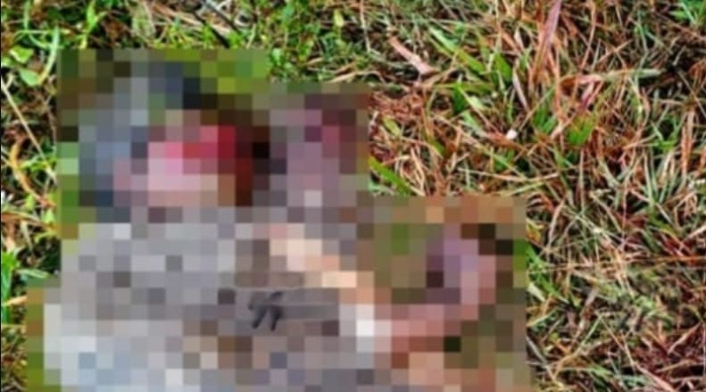 വനത്തിൽ വയോധികയുടെ മൃതദേഹം കണ്ടെത്തി