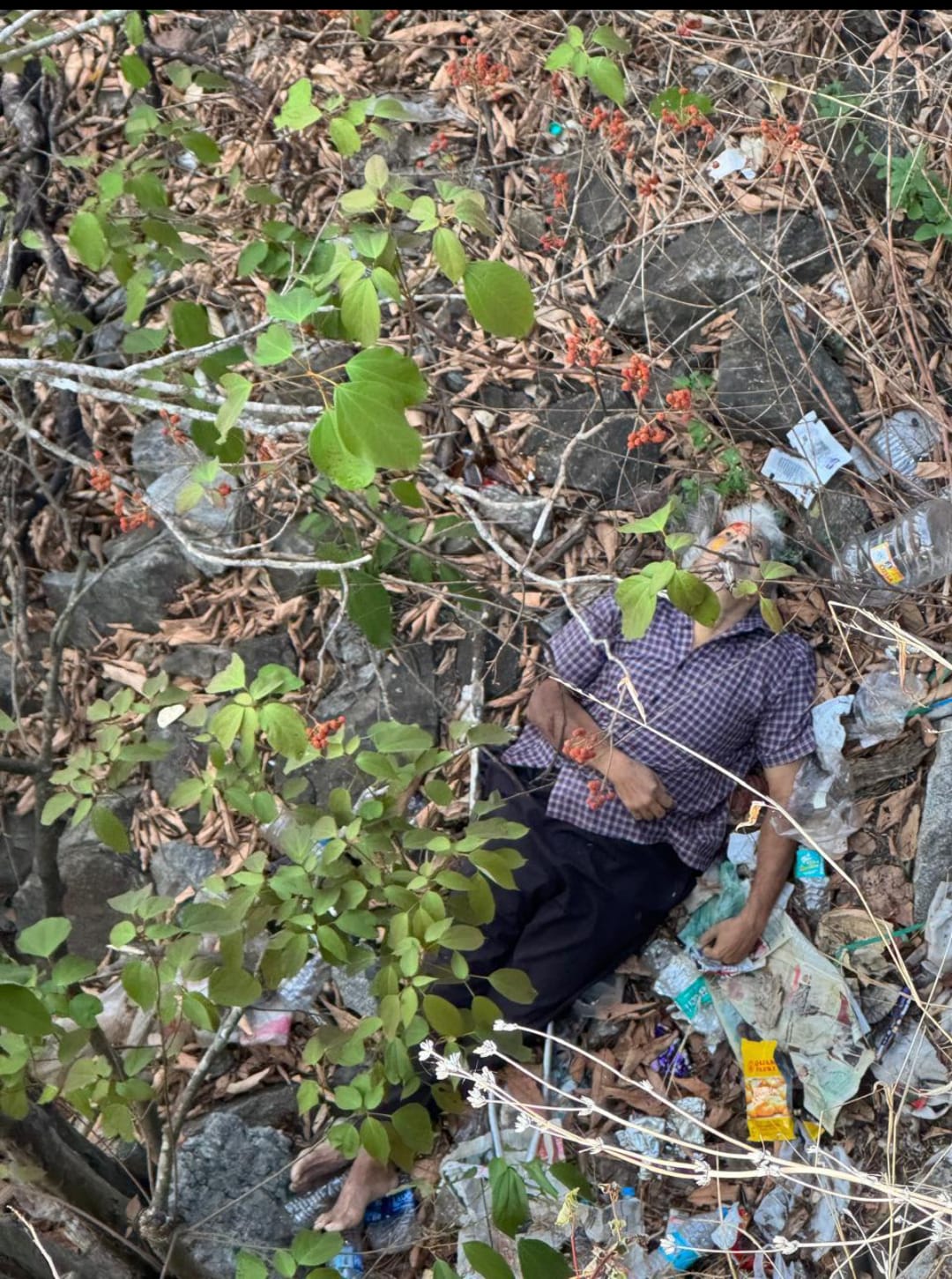 താമരശ്ശേരി ചുരത്തിൽ 50 അടി താഴ്ചയിലുള്ള കൊക്കയിൽ വീണ് മരണം