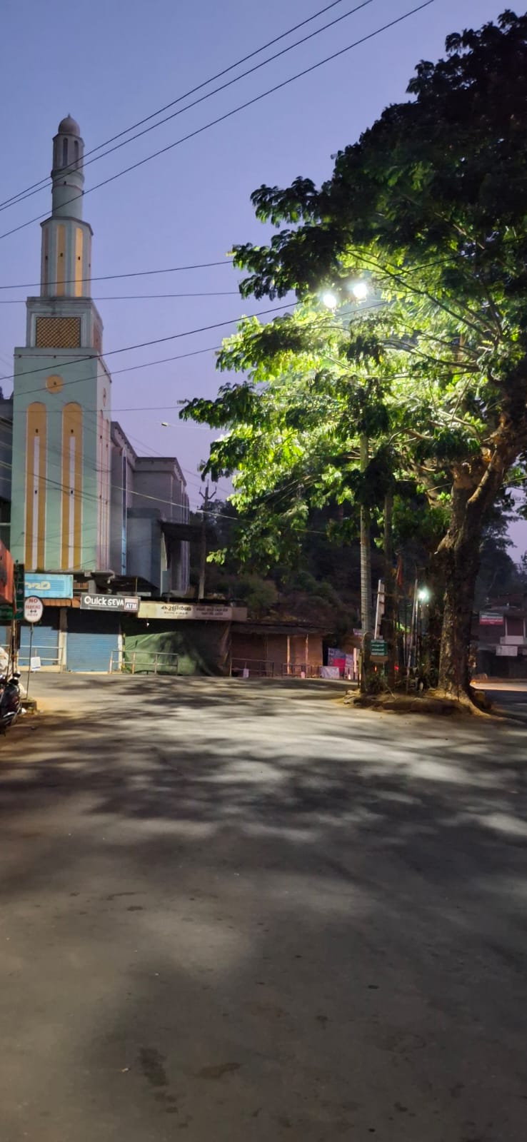 തരുവണ ടൗണിൽ ലോ മാസ്സ് ലൈറ്റ് മരക്കൊമ്പുകൾ കൊണ്ട് മൂടി;ഇരുട്ടിൽ മുങ്ങി പ്രദേശം